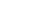 White Square Phin Logo