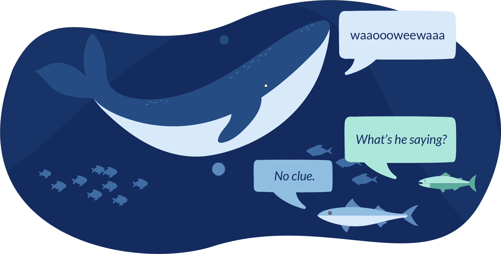 Jargon Whale Jargon Whale