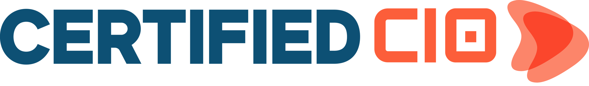 certified cio logo