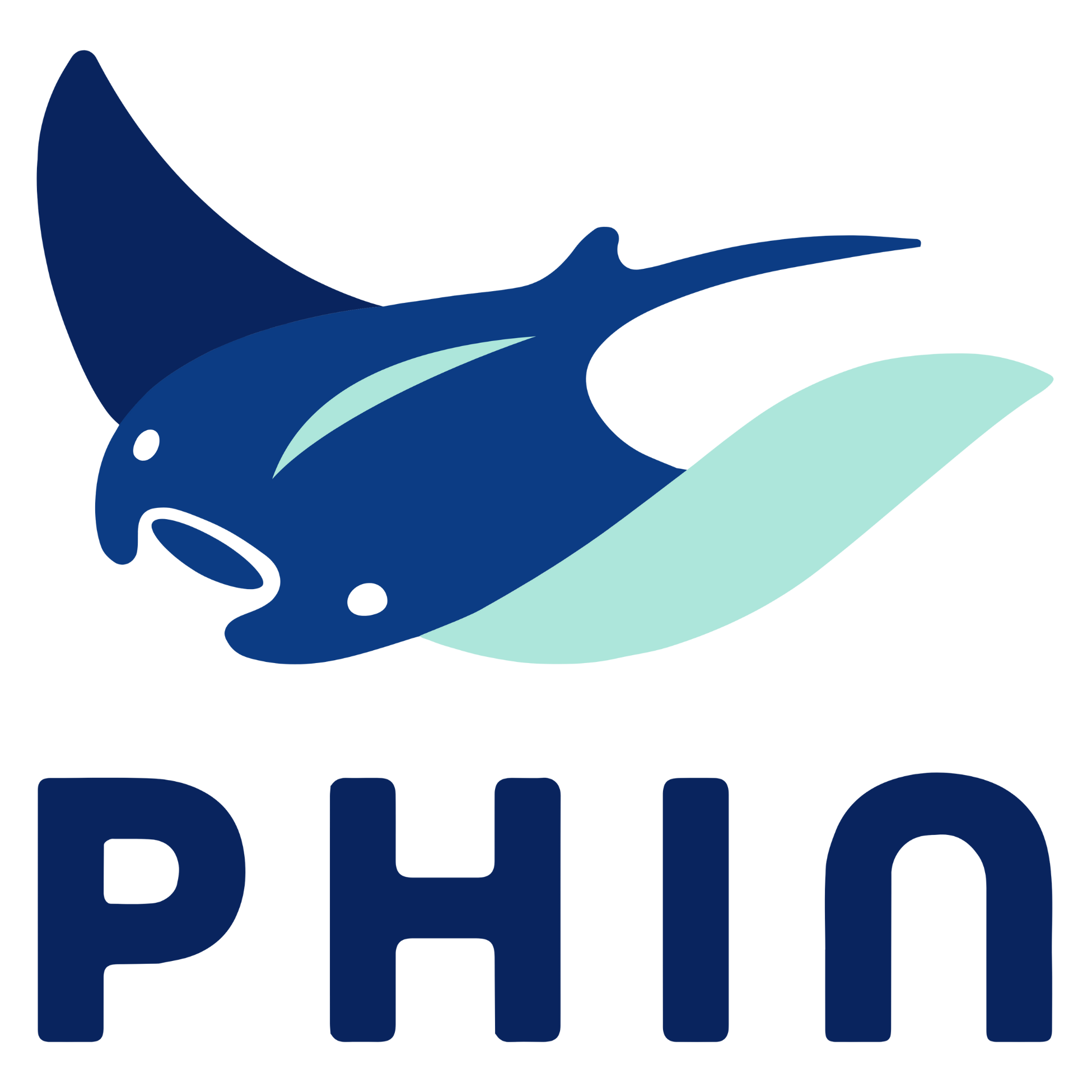 Phin Security Logo