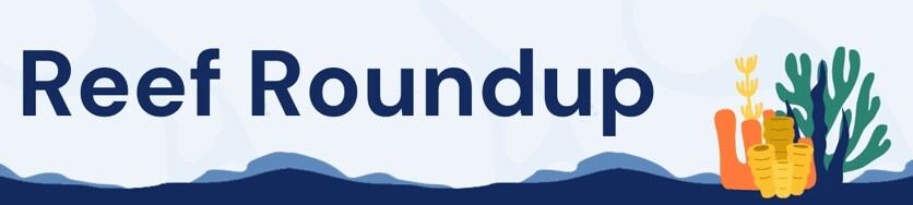 Reef Roundup-1
