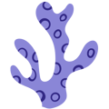 Accent spotted purple coral
