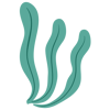 Green Coral Accent 9