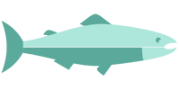 Green Fish accent