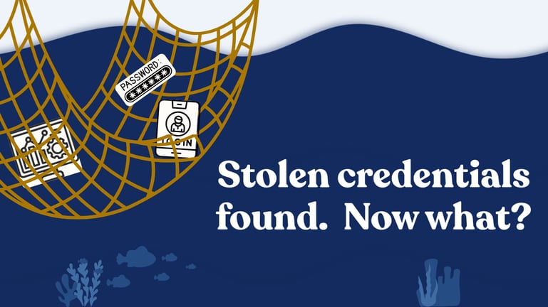 A big fishing net pulling stolen credentials out of the deep sea with the text "Stolen credentials found. Now what?"