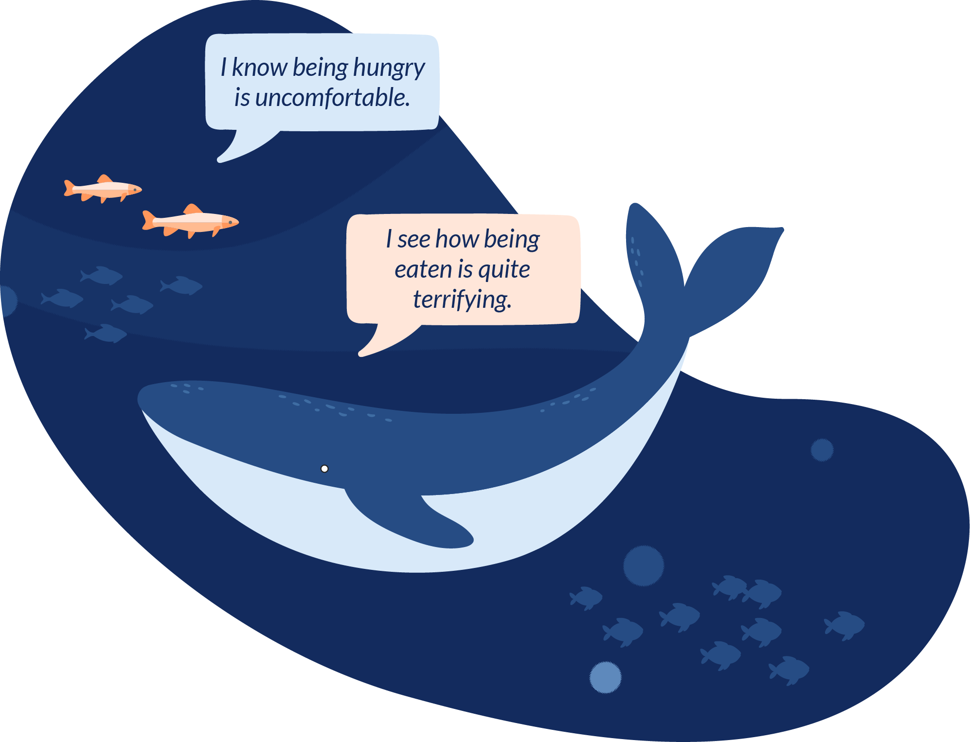 Fish Empathy Fish Empathy