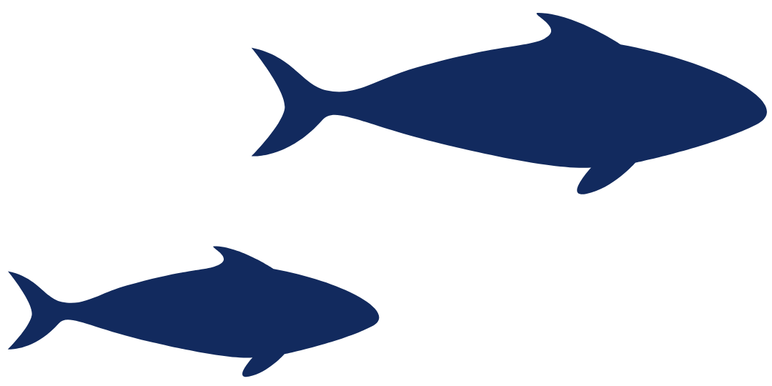 2 fish dark scenic 2 fish dark scenic