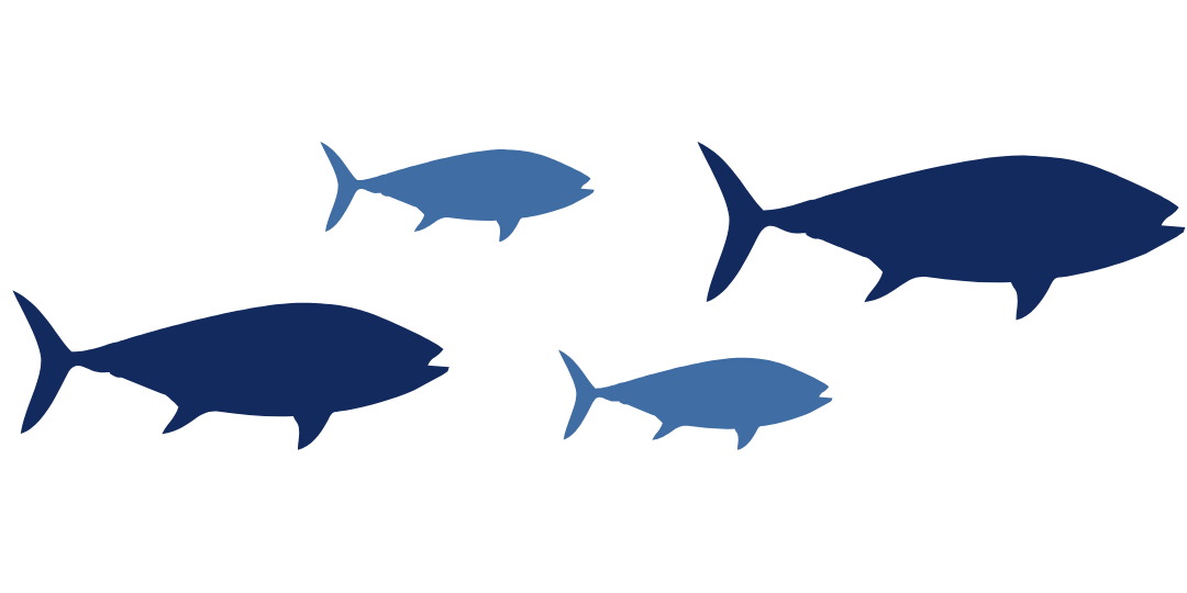 4 fish multicolor scenic 4 fish multicolor scenic