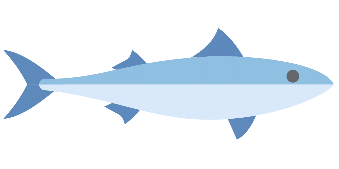 Blue Fish long accent Blue Fish long accent