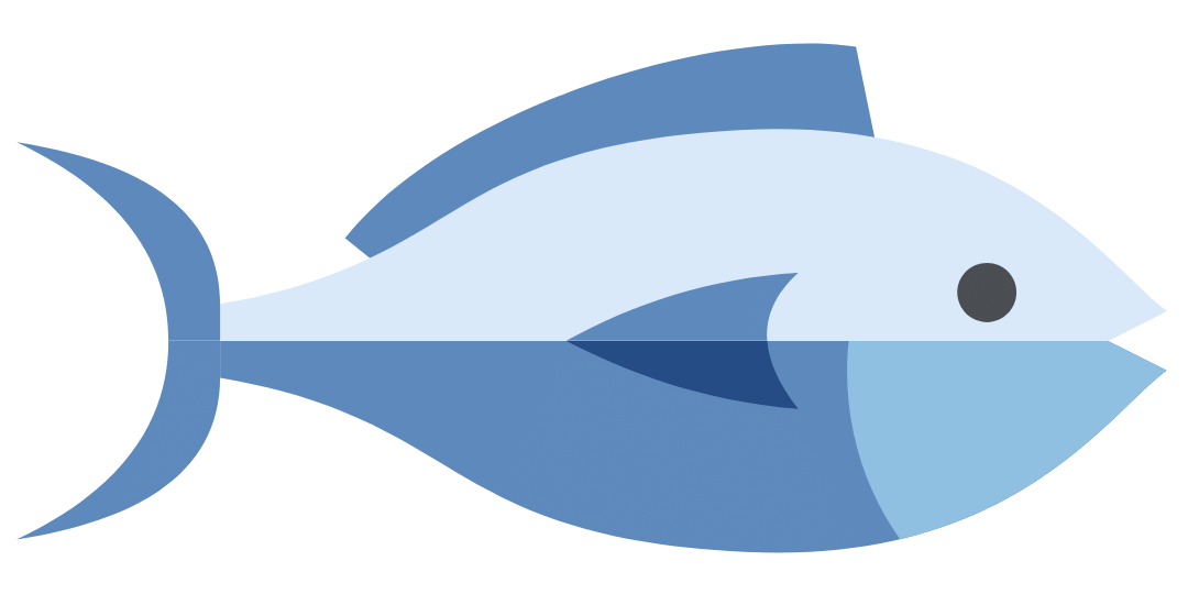 Blue fish short accent Blue fish short accent