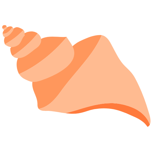 Conche Shell Conche Shell