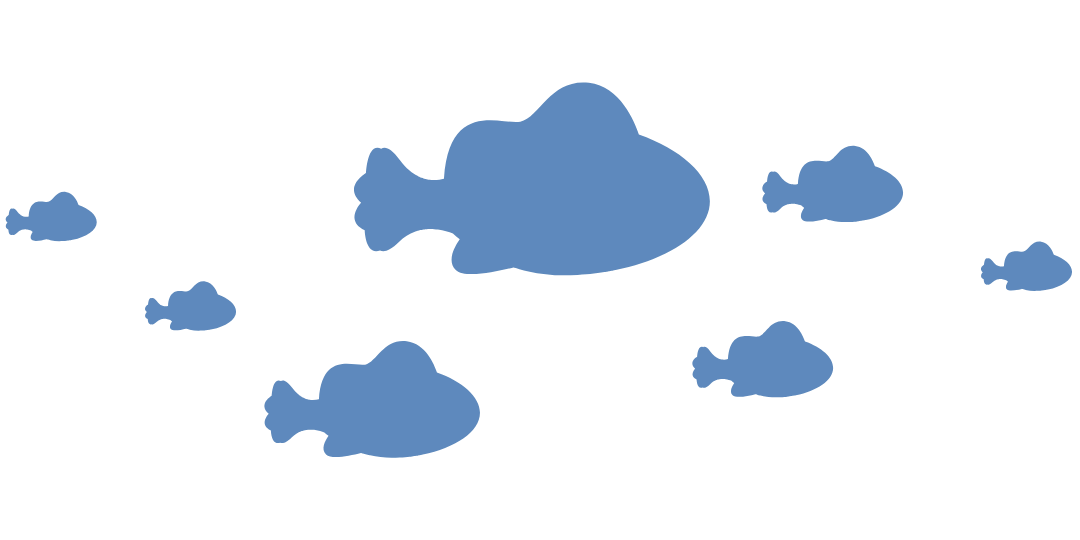 Fish group light scenic Fish group light scenic