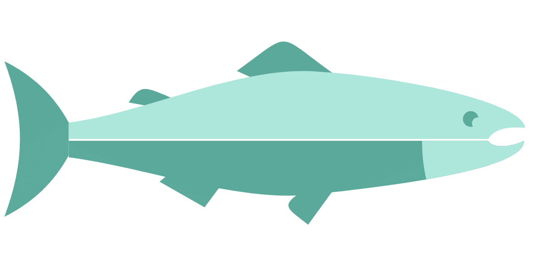 Green Fish accent Green Fish accent
