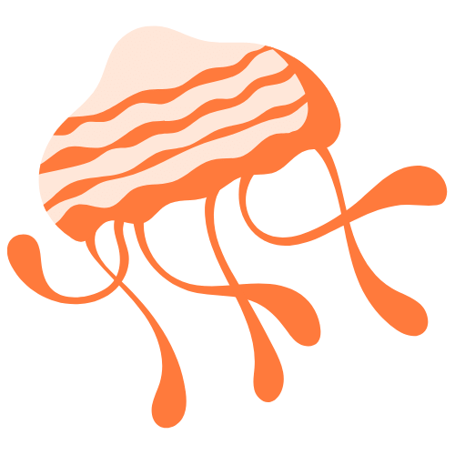 Orange Jellyfish Orange Jellyfish